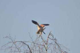 DSC_7623.JPG